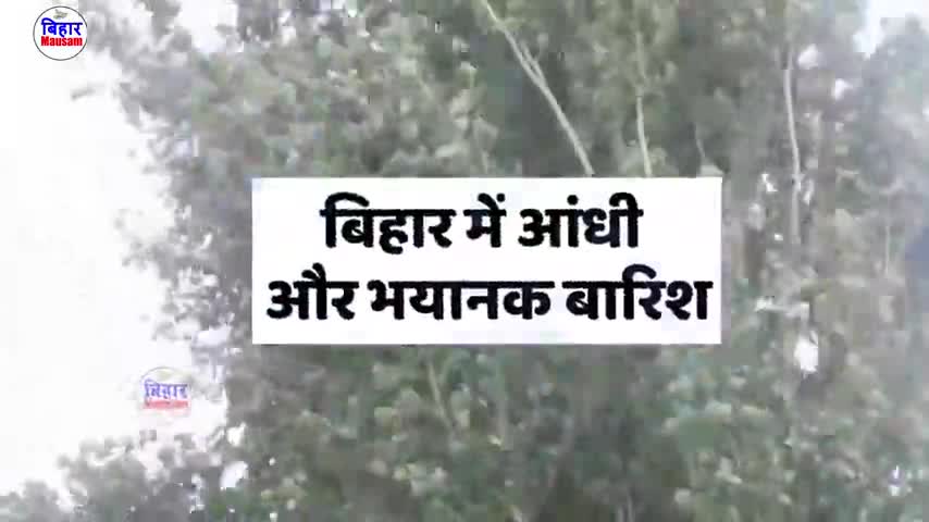 #मौसम विभाग ने बिहार के इन #जिलों के लिए जारी की अलर्ट, तेज हवा के साथ #बारिश #मौसम_सर्दी