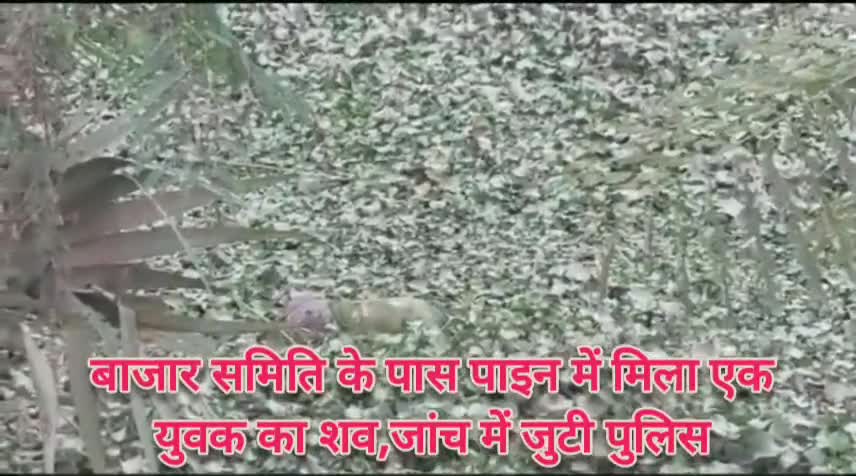 बाजार समिति के पास पाइन में मिला एक युवक का शव जांच में जुटी पुलिस #बिहारशरीफ #नालंदा #क्राइम #न्यूज #मर्डर #बिहार