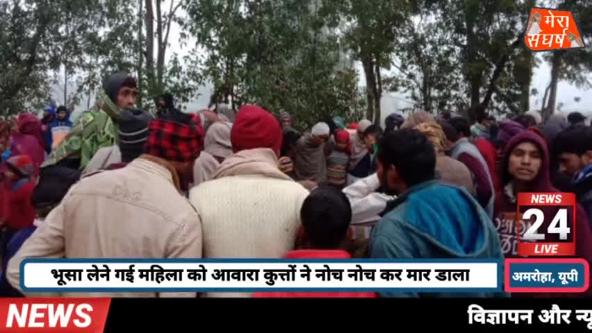 अमरोहा, महिला को आवारा कुत्तों ने नोच नोच कर मार डाला
#amroha #amrohatv