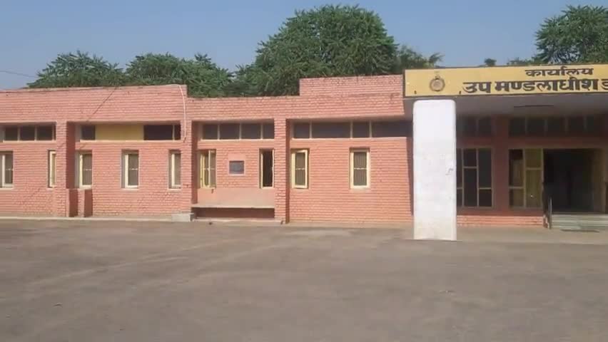 डबवाली: डबवाली में खाद-बीज की कालाबजारी करने वाला गिरोह सक्रिय, किसानों ने अधिकारियों को माँग पत्र भेजा
#अपराध #किसान #यूरिया