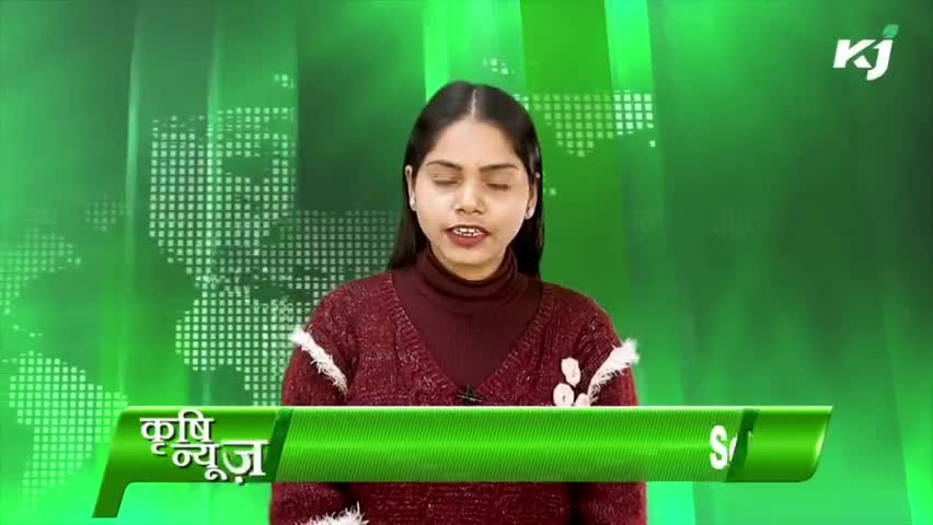 एग्री स्मार्ट विलेज | आधुनिक खेती | अंगूर का बगीचा | खीरे की खेती | इंक्यूबेशन सेंटर

#farming #agriculturelife #farmer
