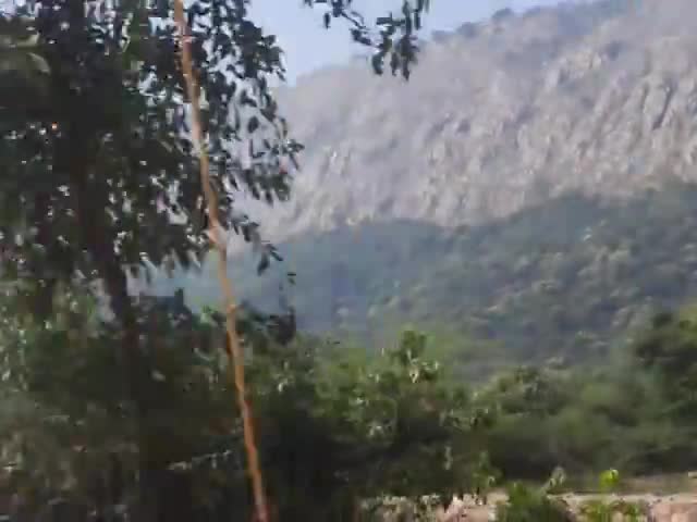 सिलाव: बिहार के राजगीर में बना भारत का अनोखा जू सफारी #bihartourism#rajgir#nalanda