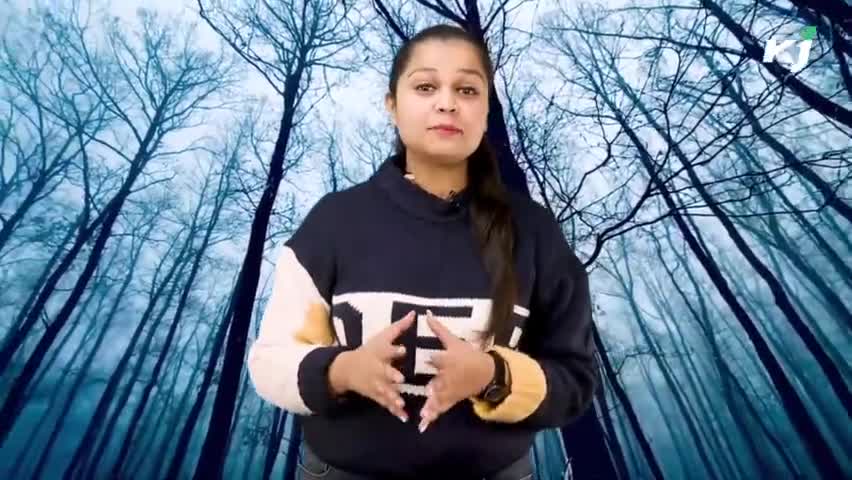 लाखों नहीं 'करोड़ों' का मुनाफा देती है लाल चंदन की खेती 
#SandalWood #LalChandanKiKheti |
#Wood #lalchandankikheti