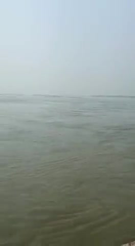 #दियरा में का बा?
#अद्भुत_नजारा बा बड़ी #सकून बा मेल #मोहब्बत बा!