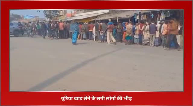 सिंघेश्वर में आज भी लोग यूरिया लेने के लिए लाइन में खड़े रहे   किसानों को खाद वितरण किया गया
#singheshwar #urea