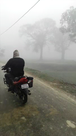 गोपालगंज: आज गोपालगंज मे बहुत ज्यादा सितलहरि एव कोहरा है रोड पर परीचालन मे हो रही है दिकत अगले तीन दिन तक ठंड रहेगा #thand #abp#@