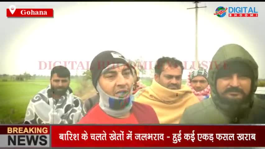 बारिश के चलते खेतों में जलभराव - हुई कई एकड़ फसल खराब। गिरदावरी का वादा कर भी नहीं हुई अभी तक कोई कार्यवाही। 
#GohanaNews