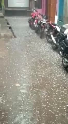 सिकंदराराऊ: सिकंदरा राऊ पर कुछ देर पहले हुई असमय ओलावृष्टि से फसलों को हुआ भारी नुकसान #ओलावृष्टि