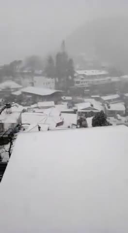 देहरादून: heavysnowfall at mussoorie today 
#snowfall #mussoorie