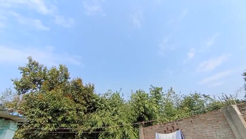 सोनपुर: घने कोहेरे से मिली मुक्ति मौसम में दिख रहा अब बदलाव।। #sonpur