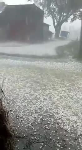कानपुर: #सीतापुर -

अचानक तेज बारिश के साथ सीतापुर में गिरे ओले
#heavyrain #loss
