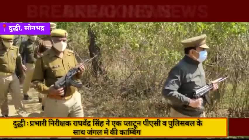 दुद्धी : प्रभारी निरीक्षक राघवेंद्र सिंह ने एक प्लाटून पीएसी व पुलिस बल के साथ जंगल मे की काम्बिंग
#पुलिस #दुद्धी