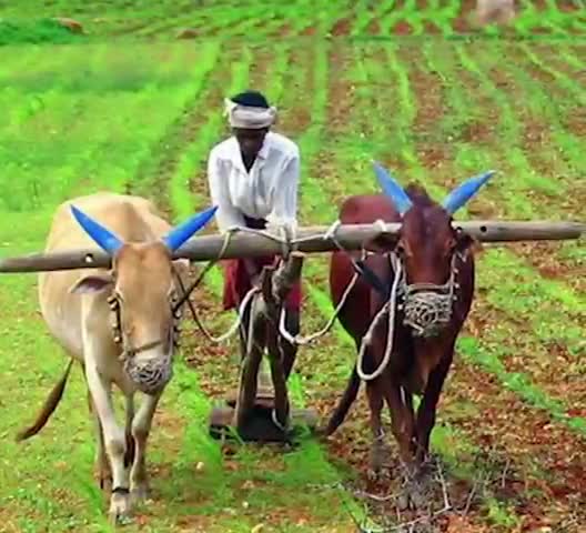 जो किसानों के ना दे उनका अधिकार.. 

क्या चाहिए आपको ऐसी सरकार??

#नहीं_चाहिए_भाजपा