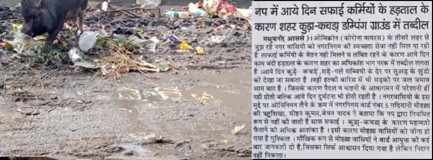 मधुबनी नगर निगम वार्ड 5 में महामारी फैलने की अधिक संभावना,मोहल्ला वासियों का जीना हुआ muskil #madhubanidm #biharcm #np