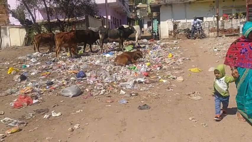 संजय नगर में नहीं हो रही सफाई जगह जगह लग रहे हैं कूड़े के ढेर 
यह संजय नगर का मुख्य मार्ग है
#स्वच्छ_भारत_अभियान 🙏🙏