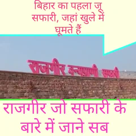टिकट के दाम से लेकर #बुकिंग तक...सबकुछ जाने #राजगीर_जू_सफारी के बारे में, क्यों है बहुत खास

1 view · 8 minutes ago