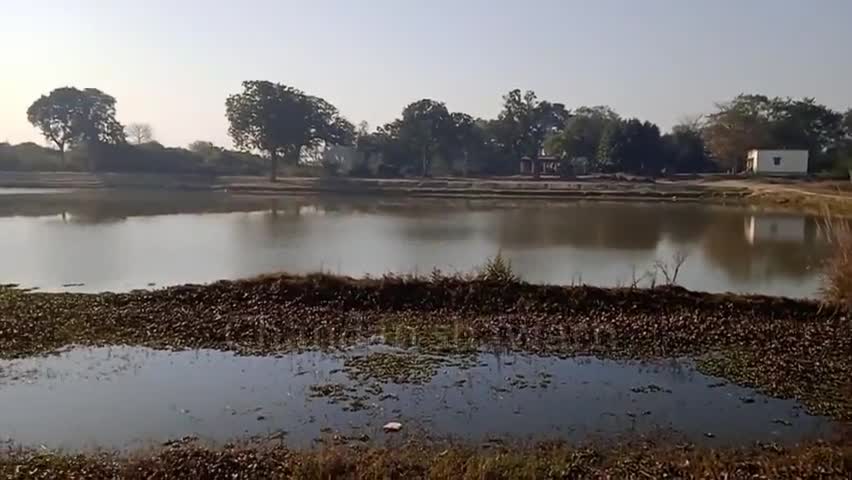 खगड़िया: हजारों साल पुराना शिवलिंग जो बरगद पेड के निचे आज भी है...#Bihardarshan #apnabihar #कारीसाथरेलवेस्टेशनभोजपुरआरा