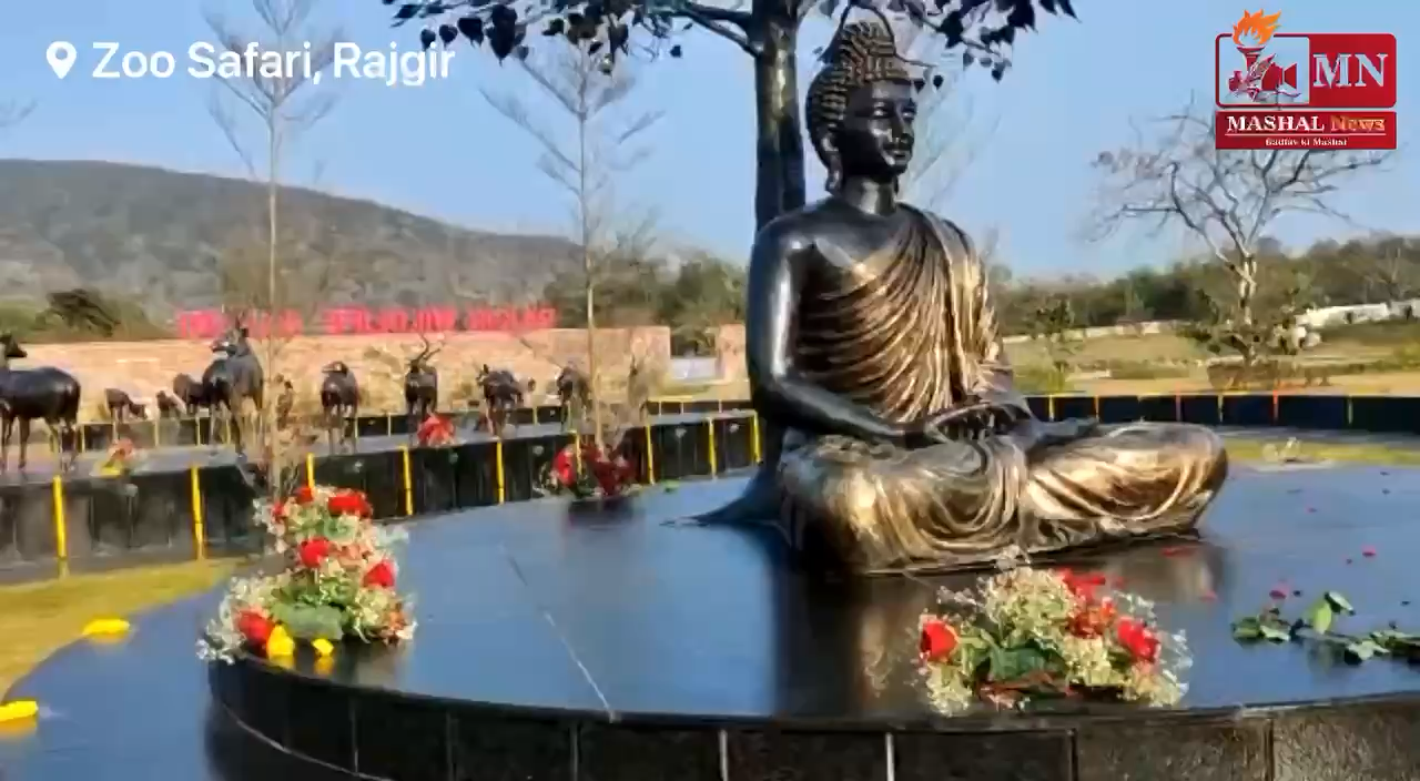 Bihar: Zoo Safari, Rajgir का दृश्य | Mashal News | Ayush Unnikrishnan 

#MashalNews #Bihar #Rajgir #Zoo #ZooSafari