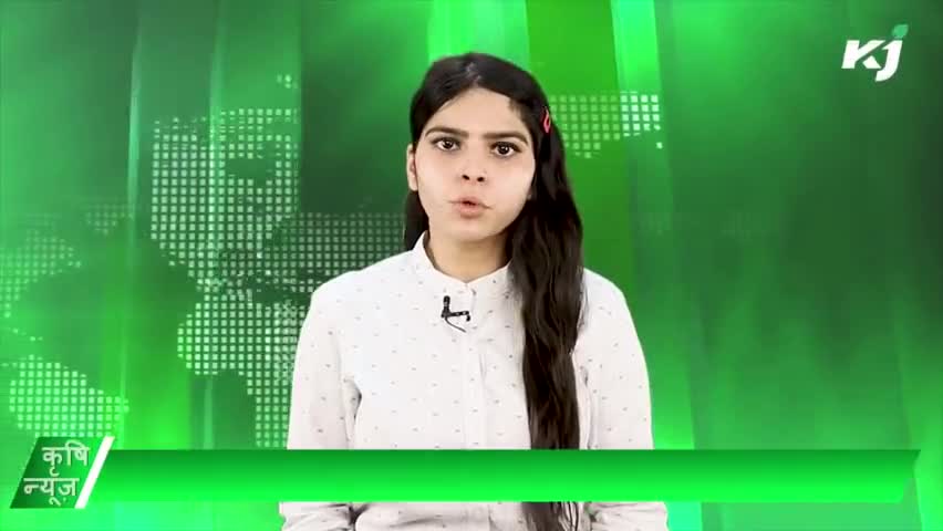 हरियाणा सरकार | तिलहन क्षेत्र | जीरो बजट नेचुरल फार्मिंग
 #BAU #JpDalal #DBT #KrishiNews  #Agri