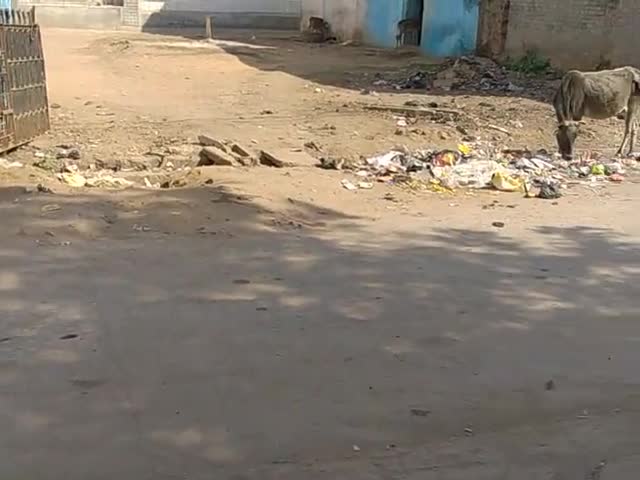 पटेल पुल सीधी में कचड़ो का अंबार #कचरा #﻿@﻿@﻿@##चुनाव सीधी