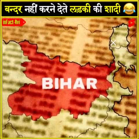 बंदर नहीं करने देते लड़कियों की शादी 😂 
inFact Rvi #aajtak #news #factinhindi