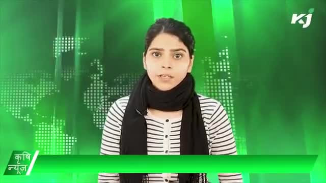 हरियाणा सरकार  | अमरूद निर्यात | पशुपालक | हल्दी | 
#KrishiNews #krishijagran #agriculturescheme #agriculturenews