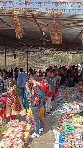 अल्मोड़ा: अल्मोड़ा#uk01#uttarkhand news#kosi #