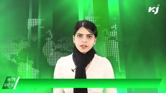 Swaraj | फसल बीमा कंपनी  | सेब उत्पादक  | कमल पटेल  
#MSP #धानखरीद #GITag #KrishiNews