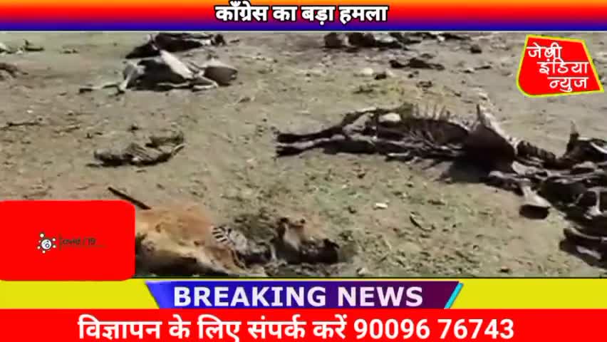 #कॉंग्रेस का बड़ा हमला  #bjp #यूक्रेन_संकट #रूस