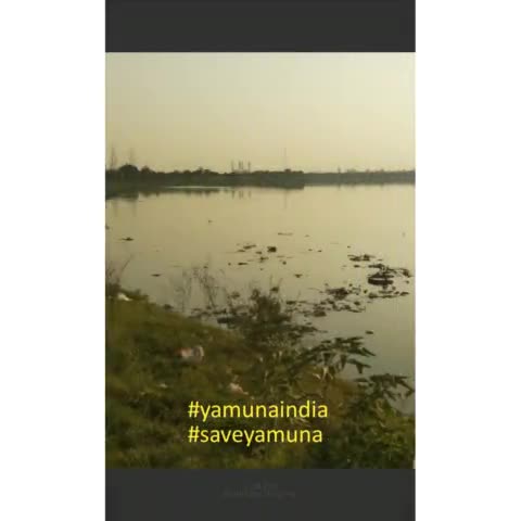 कब करेंगे यमुना की स्वच्छ्ता  #yamunaindia #saveyamuna #eastdelhinews #delhi