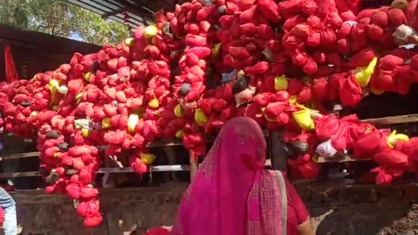 पवई: bagheswar dham sarkar adbhut darsan maha darbar #bagheswardham #viral_news jay shree ram