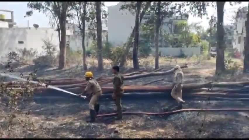 कटंगी: बालाघाट के वार्ड नंबर 32 में पुराने गार्डन में लगी आग#फायर ब्रिगेड की मदद से पाया गया आग पर काबू