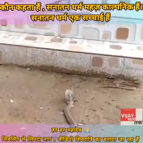 कौन कहता हैं, सनातन धर्म महज़ काल्पनिक हैं।
शिवलिंग से लिपटे नाग देवता, वीडियो हुआ वायरल।
#विजय_सत्य_तक