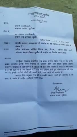 #समाहरणालय 
जंगली जानवर #लकड़बग्घा
#सुपौल