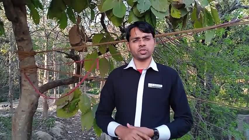 #मूसाबाग #लखनऊ #बहुआयामीपार्टी की मांग #पिकनिक स्पॉट घोषित करे #क्रांतिकारीपार्क की बहाली करे बाग के बीच से रास्ता दे