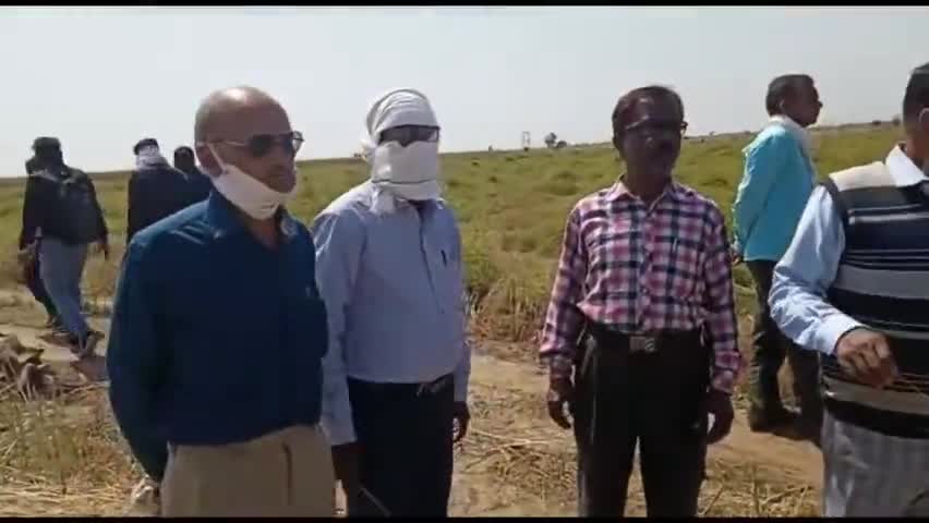 जेतपुरा ओर जोहरी में पटवारीयों ने किया सर्वे। #kisan #खेतीबाड़ी #किसान #ओलावृष्टि #नुकसान #हानि #फसल #रबीफसल
