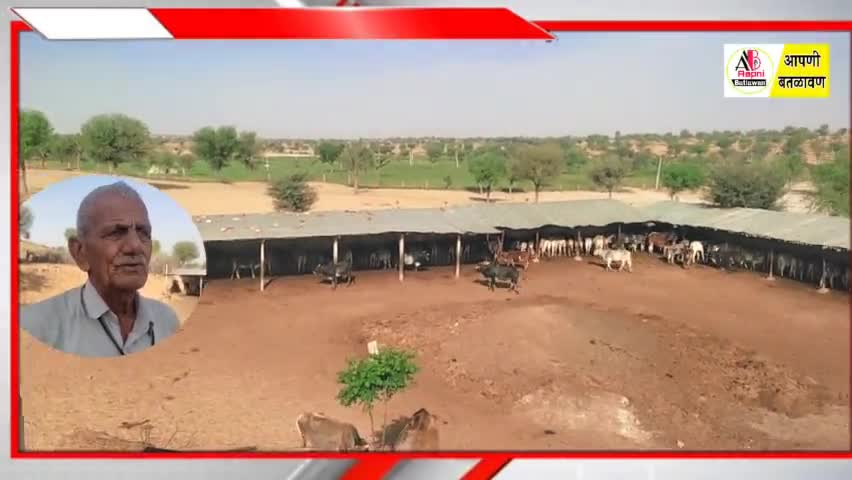 गौ सेवा का अनुठा प्रयास - गोविन्द गोपाल गौशाला खण्डवा ( चूरू) #News18Rajasthan #shankarjangir