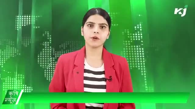 10वां कृषि दर्शन एक्सपो | मसाला फसलों की खेती |  केरल | फार्म टेक एशिया 
#KrshiNews
#agriculturenews #agrinews