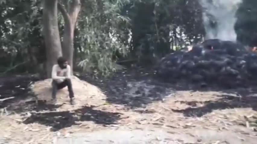 सेवराई: सेवराई में शराब के नशे में धुत शराबी ने पशुचारा के लिए रखे पुआल के गल्ले में लगाई आग, करीब 1000 बोझ पुआल जलकर राख #आग