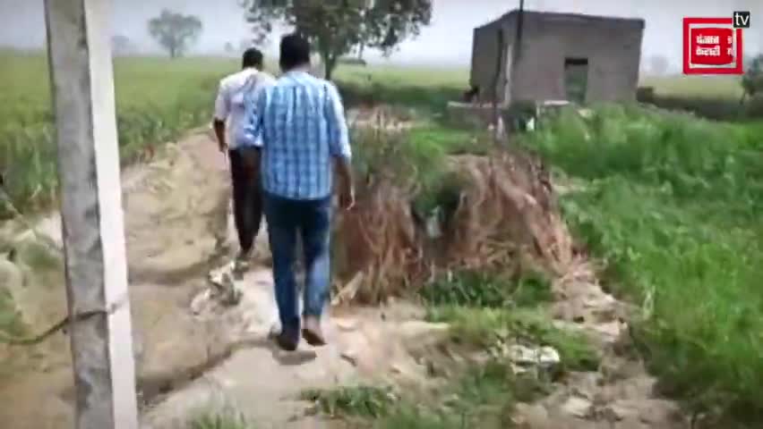 किसान के तुडी वाले कोठे में निकले #सांप ही सांप
#snake_rescue