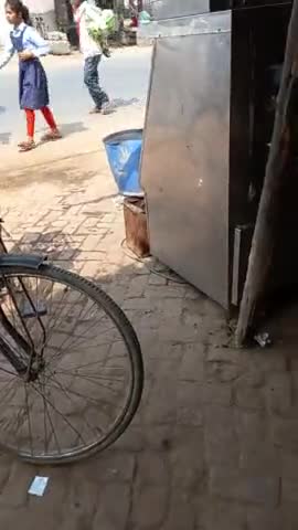 आंवला #रामनगर के जैन मंदिर में धूमधाम से शोभा यात्रा निकाली गई