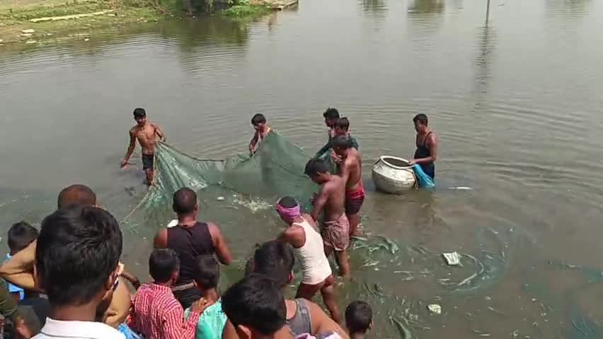 तारापुर: आज धोबाई के pokhar में मछली मारा गया ! जिसमे रेहु कतला बुवारी या अन्या मछली निकली
#fish
#talab
#dhobai
