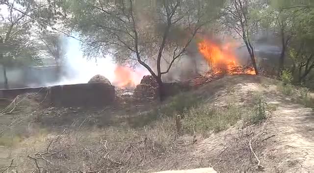 कालपी: #कालपी तहसील के ग्राम #क़ुरहना में खलिहान में रखी सरसो की #फसल में 11 हजार के तार टूटने से लगी #भीषण आग हुआ लाखो का नुकसा