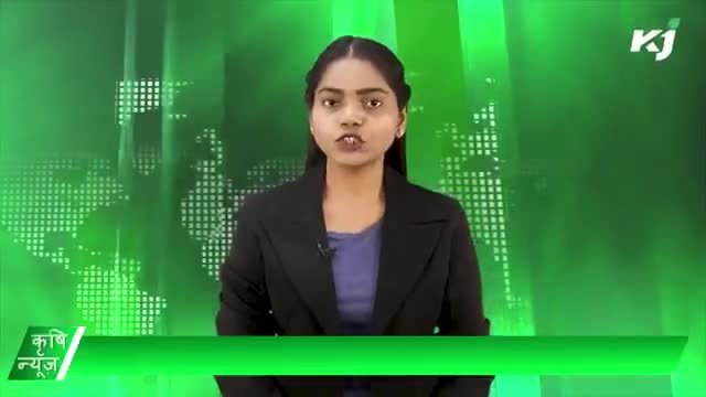 पोर्टेबल सोलर कोल्ड स्टोरेज | काला सोना 


 #Dhanuka #KisanMela  #KVK #GBPantUniversity