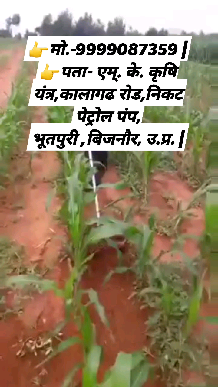 👉मो.-9999087359 | 👉पता- एम्. के. कृषि यंत्र,कालागढ रोड,निकट पेट्रोल पंप, #भूतपुरी, #बिजनौर, उ.प्र. |

#weedeater