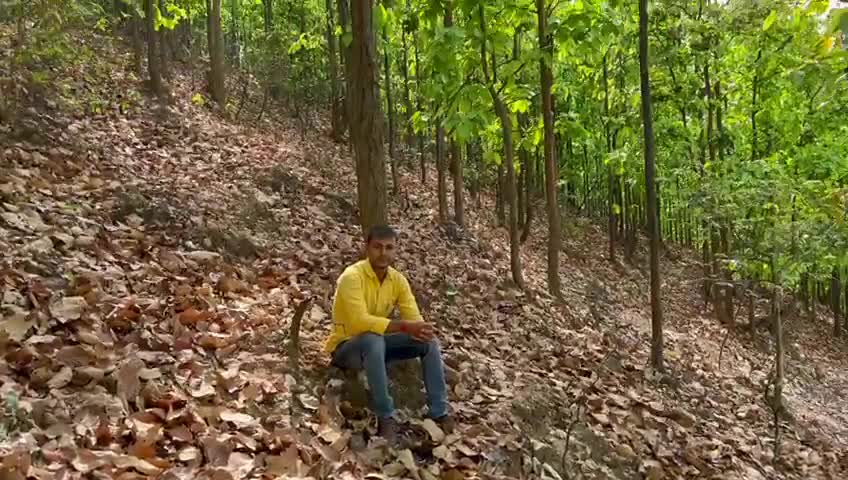 मुझे नहीं पता मेरी life की story क्या होगी?
लेकिन उसमें ये कभी नहीं लिखा होगा : कि 

#मैंने हार मान ली#
