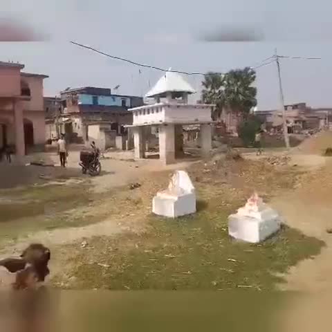 भानपुरा गांव के स्कूल में भैंस और कचड़ा रखने पर उठाया सवाल जदयू के नवयुवक मंडल समाज सेवी #चंदन #कुमार #मंडल