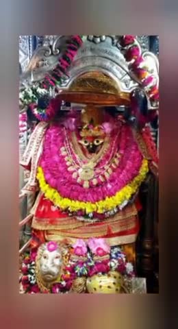 जय माँ विंध्यवासिनी🙏
#navratri #jaimatadi #vindhyachaldham #chairmancrimecontrol #publicappis