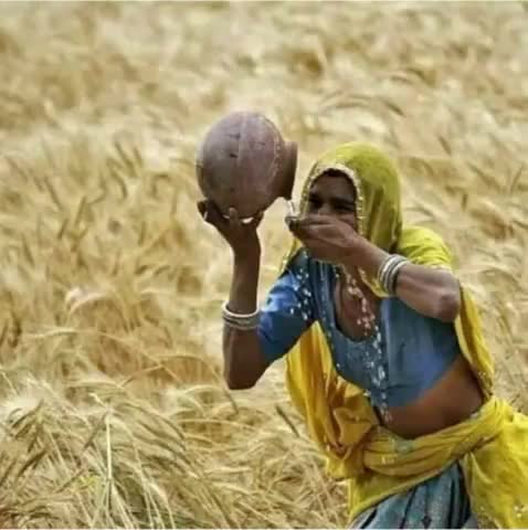 #जय_किसान 
यूँ ही  नहीं मिल  जाता  दुकानों पर  आटा
किसी ने  चिलचिलाती धूप में गेंहूँ है काटा
किसान की कड़ी मेहनत को सलाम