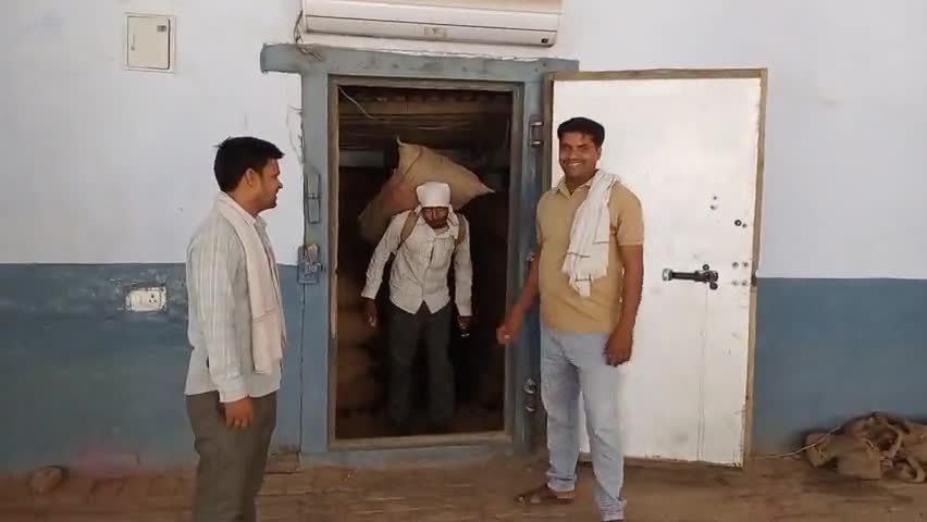 छिबरामऊ : छिबरामऊ के लता कोल्ड स्टोर से आलू की निकासी हुई शुरू : #आलू _भाव